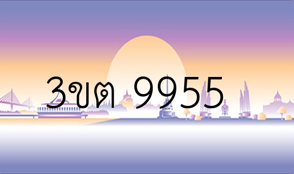 3ขต 9955